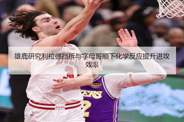 雄鹿研究利拉德挡拆与字母哥顺下化学反应提升进攻效率